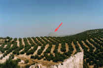Vista de la fortaleza de la Peña desde el castillo de la Torre. (C. Calvo Aguilar.)