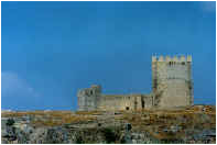 Alc&aacute;zar de la fortaleza de la Mota. (C. Calvo Aguilar.)