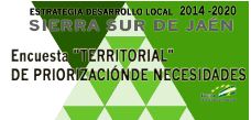 capturawebencuestaterritorialpriorizacionnecesidades.jpg