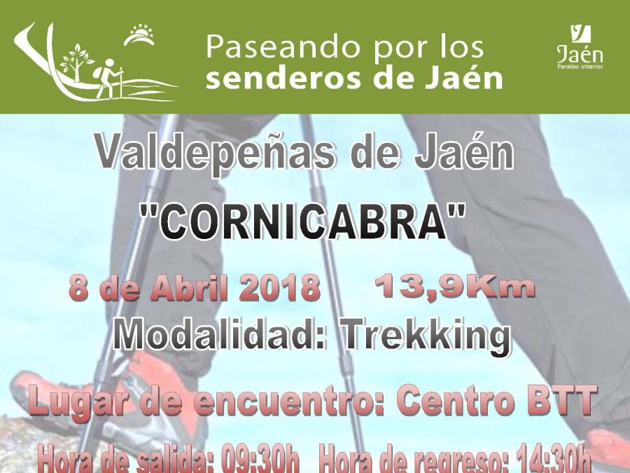 Cartel_Paseando_Primavera_2018_Sierra_Sur_Valdepe_as_Cornicabra.jpg