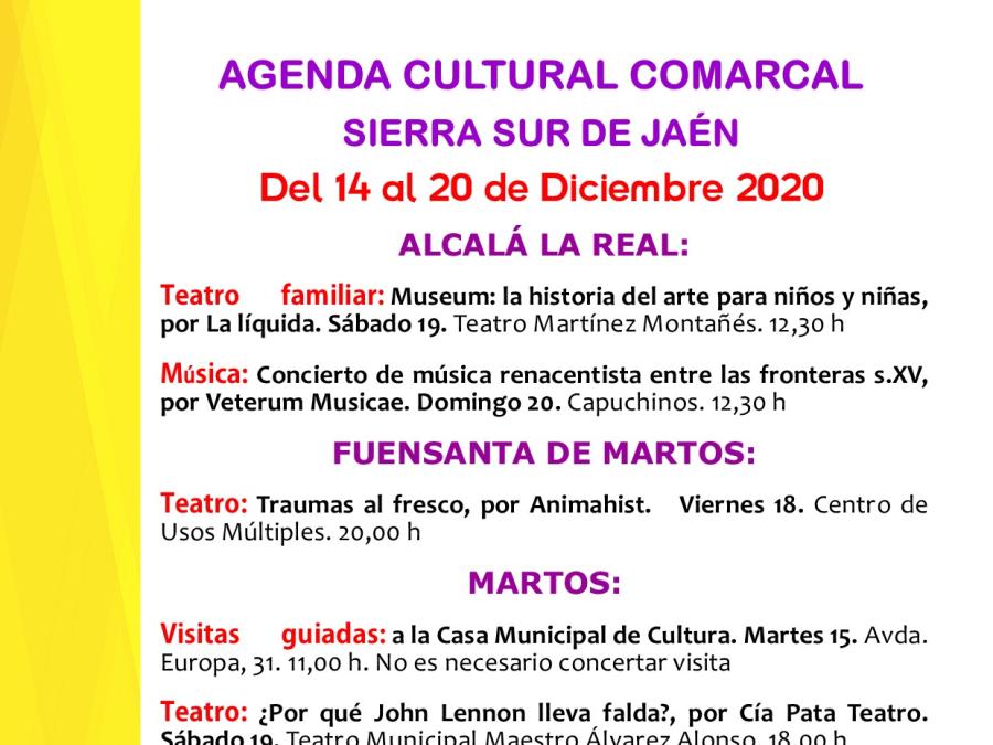 agenda-cultural-del-14-al-20-diciembre-2020.jpg
