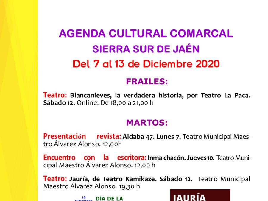 agenda-cultural-del-7-al-13-diciembre-2020.jpg